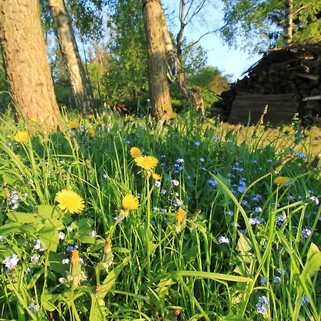 Kamienny Zakątek W Górach Bystrzyckich Casa de hóspedes *