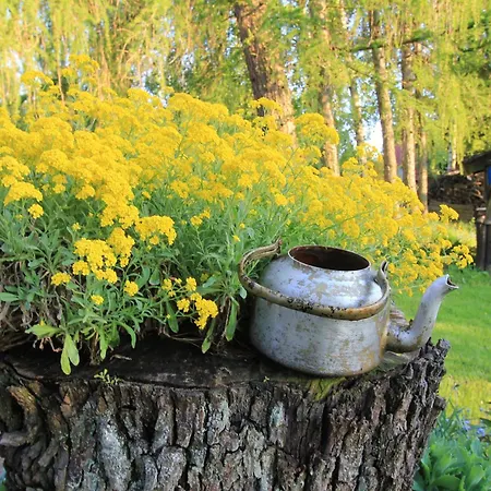 Gasthof Kamienny Zakatek W Gorach Bystrzyckich, Zieleniec Sky, Czarna Gora Resort, Spalona *