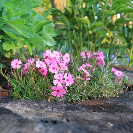 Kamienny Zakątek W Górach Bystrzyckich Casa de hóspedes