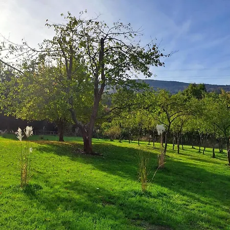 Maison d'hôtes Kamienny Zakatek W Gorach Bystrzyckich, Zieleniec Sky, Czarna Gora Resort, Spalona *