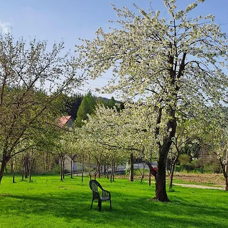 Casa de hóspedes Kamienny Zakątek W Górach Bystrzyckich *
