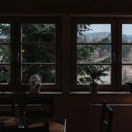 Kamienny Zakatek W Gorach Bystrzyckich, Zieleniec Sky, Czarna Gora Resort, Spalona Gæstehus