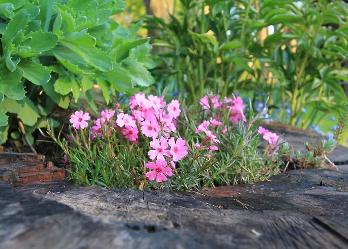 Kamienny Zakatek W Gorach Bystrzyckich, Zieleniec Sky, Czarna Gora Resort, Spalona Gasthof