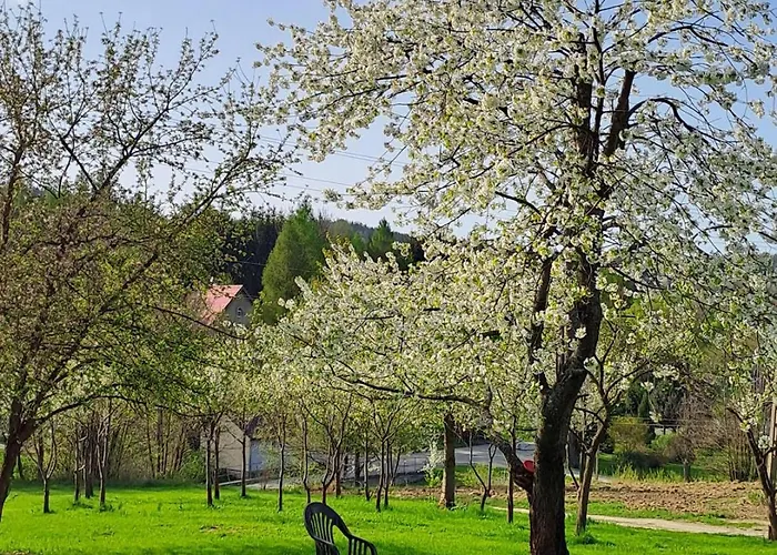 Gasthof Kamienny Zakatek W Gorach Bystrzyckich, Zieleniec Sky, Czarna Gora Resort, Spalona *